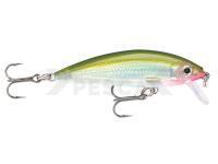 Señuelo Rapala X-Rap CountDown 5cm - Olive Green