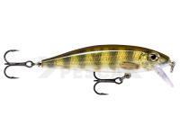 Señuelo Rapala X-Rap CountDown 7cm - Live Perch