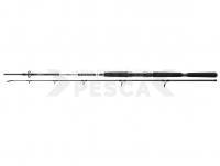 Caña Daiwa BG Offshore Boat 2.40m 150-400g