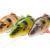 Savage Gear 4D Line Thru Perch