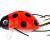 Wob-Art Señuelos Biedronka (Ladybird)