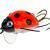 Wob-Art Señuelos Biedronka (Ladybird)