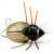 Imago Lures Maybug