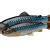 Savage Gear 3D Craft Trout PulseTail Bulk