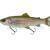 Savage Gear 3D Line Thru Pulsetail Trout