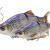 Savage Gear 3D Line Thru Roach