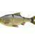 Savage Gear 3D Line Thru Roach