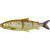 Savage Gear 3D Line Thru Whitefish