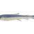 Savage Gear 3D Whitefish Shad Bulk