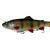Savage Gear 4D Line Thru Rattle Trout