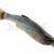 Savage Gear Craft Dying Minnow