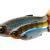 Savage Gear Vinilos Craft Dying Minnow