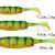 Savage Gear Vinilos Craft Shad Mix