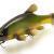 Quantum Señuelos Freak of Nature Swimbait Tench