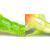 FOX Rage Mega Craw