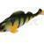 Mikado MFT Perch 25cm