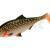Mikado MFT Roach 12cm