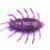 FishUp Maybug