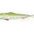 Qubi Lures Sardine Shad