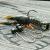 Savage Gear Vinilos NED Craw