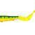 Westin Pike Teezer Spare Body