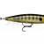 Rapala Precision Xtreme Pencil