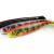 FOX Rage Vinilos Pro Shad Natural Classic Ultra UV Bulk