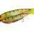 FOX Rage Pro Shads Loaded