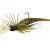 Savage Gear Señuelos Crazy Swim Jigs