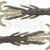 X Zone Lures Scented Stealth Creature 2.75"