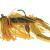 Westin Slide Up Rubber Jig Tungsten