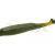 Zoom Bait Company Swimmin Super Fluke