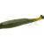 Zoom Bait Company Vinilos Swimmin Super Fluke