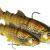 Westin Tommy the Trout Multi Jointed R2F