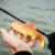 FOX Rage Ultra Realistic Replicant Golden Roach