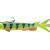 Prorex V-Marley Pelagic Shad