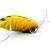 Imago Lures Señuelos Great diving beetle