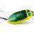 Imago Lures Señuelos Great diving beetle