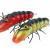 Microbait Señuelos duros River Crayfish
