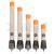 Preston Precision Pellet Wagglers