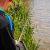 Preston Dura Carp 800 8m Pole