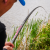Preston Dura Carp 800 8m Pole