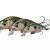 Savage Gear Señuelos 3D Sticklebait Twitch