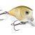 Rapala Crankbait BX Brat