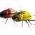 Microbait Señuelos Colorado Beetle