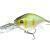 Prorex Crankbait DR