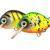 HMG Lures Señuelos duros Droop Killer Float