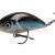 Salmo Fatso 10 cm