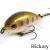 Zipbaits Hickory SR