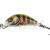 Salmo Hornet 2,5 cm